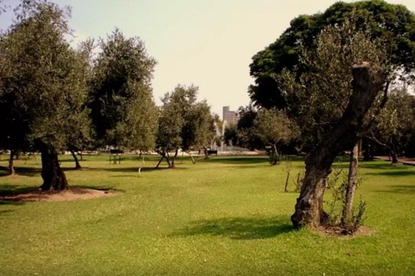 B&B El Olivar Lima Exterior photo